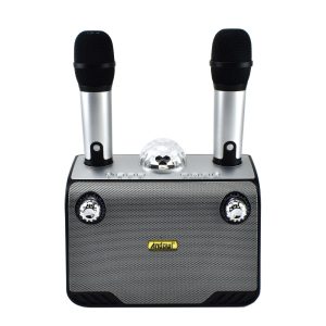 Dispozitiv de karaoke disco de 15 W cu 2 microfoane wireless și Bluetooth